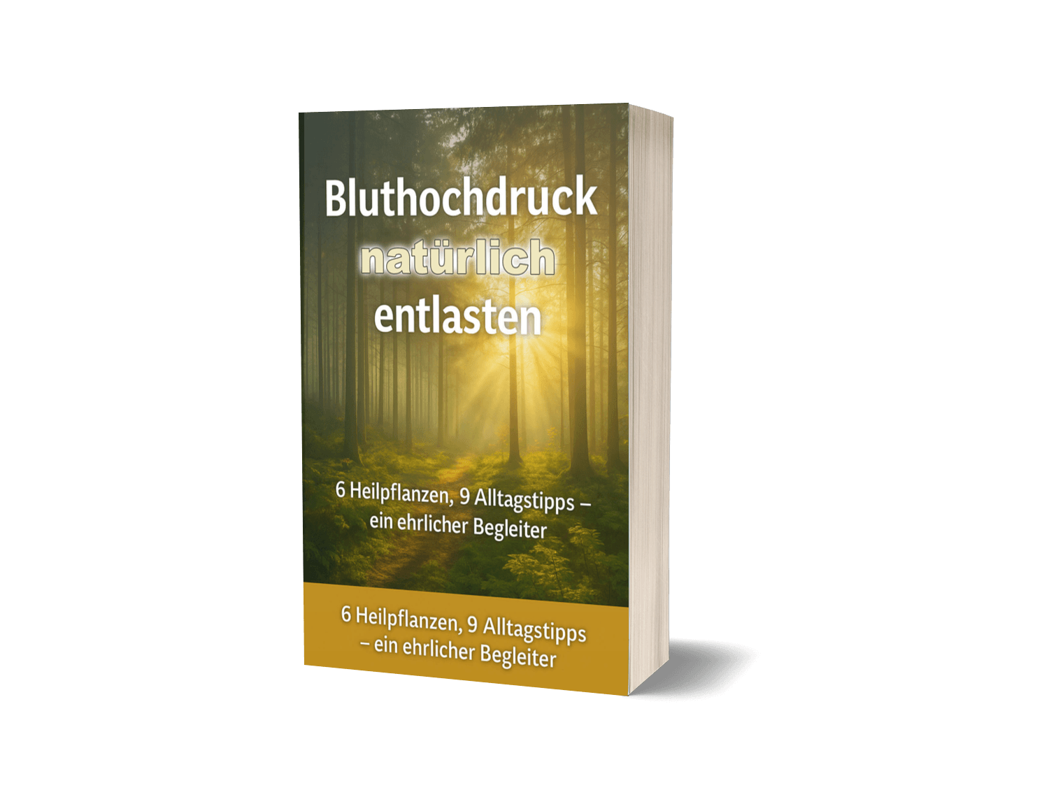 Bluthochdruck PDF